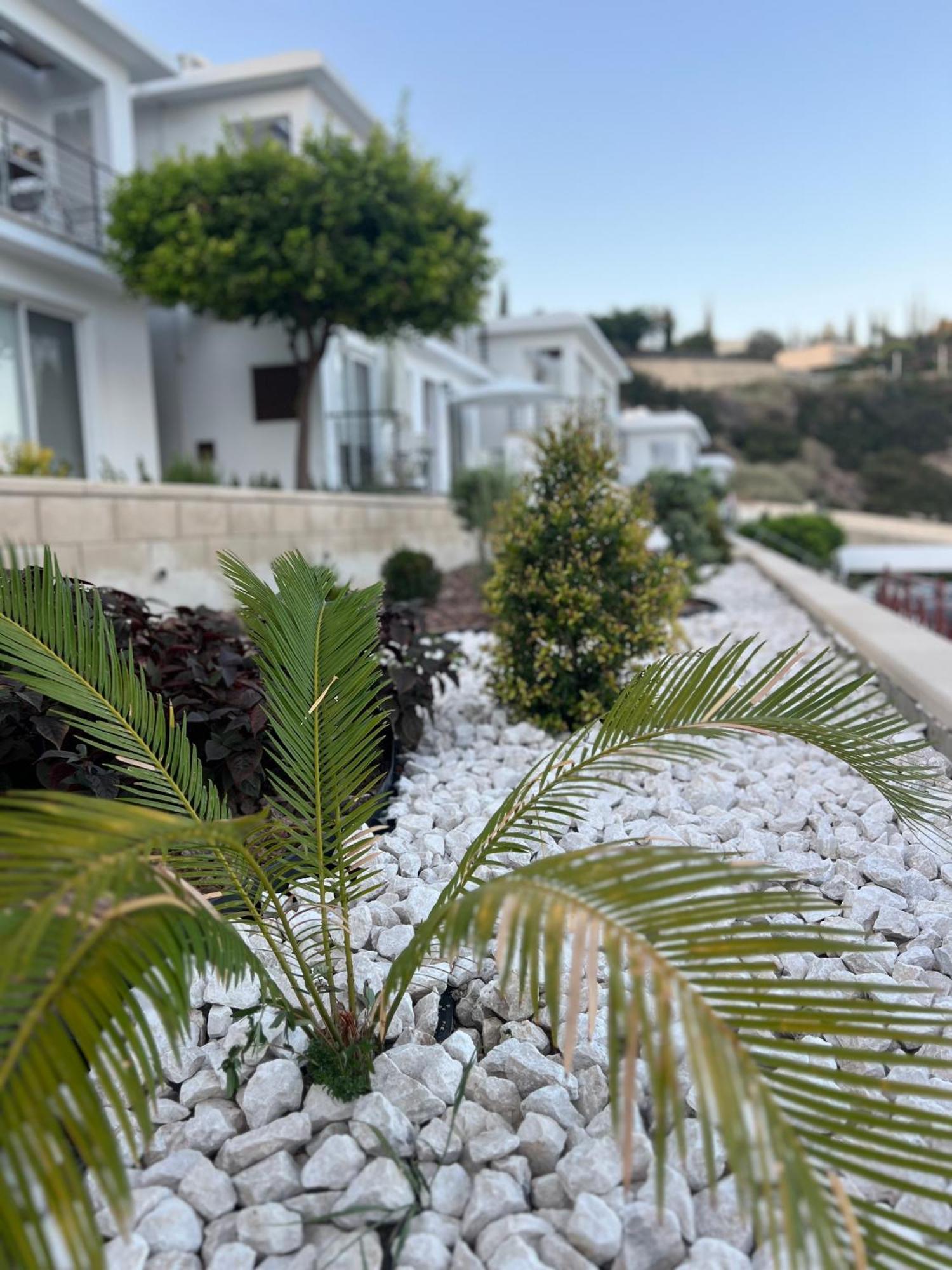Pissouri Image Leilighet Eksteriør bilde